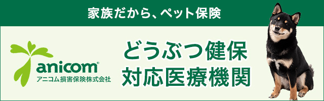 アニコム保険
