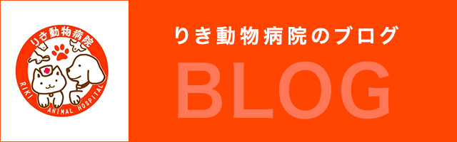 りき動物病院 アメブロ
