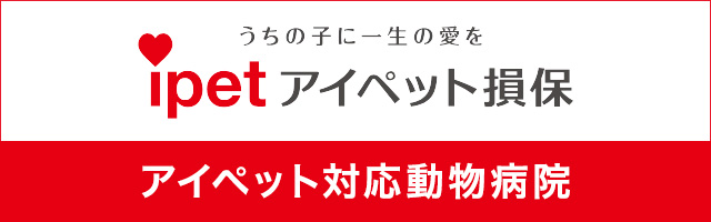アイペット損保