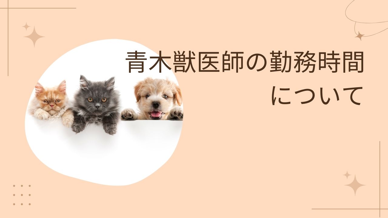 青木獣医師の勤務時間について